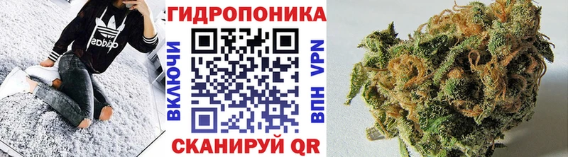 Канабис Ganja Жуков